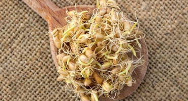 Jak si sami doma naklíčit pšenici?